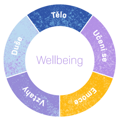 Navrh bez nazvu 68 - Infografika oblasti rodiče - wellbeingveskole.cz