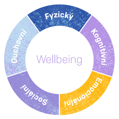 Navrh bez nazvu 69 - Infografika oblasti školy - wellbeingveskole.cz